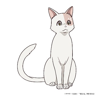 Kikuko Inoue, Fuka Izumi, Sho Hayami, and Noriaki Sugiyama Join the Cast of Cats and Dragons as New Key Visual and Promo Video Drop 3 0222 04