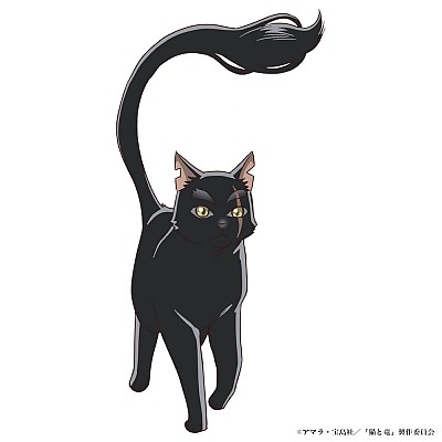 Kikuko Inoue, Fuka Izumi, Sho Hayami, and Noriaki Sugiyama Join the Cast of Cats and Dragons as New Key Visual and Promo Video Drop 4 0222 05