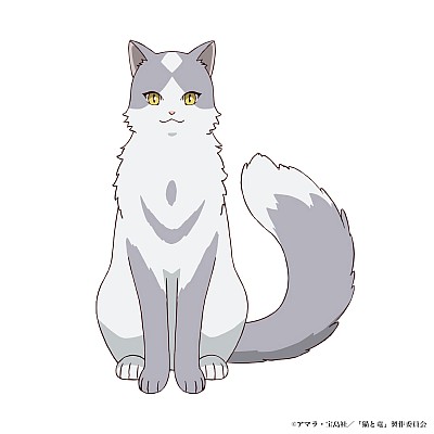 Kikuko Inoue, Fuka Izumi, Sho Hayami, and Noriaki Sugiyama Join the Cast of Cats and Dragons as New Key Visual and Promo Video Drop 5 0222 06