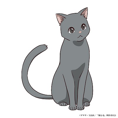 Kikuko Inoue, Fuka Izumi, Sho Hayami, and Noriaki Sugiyama Join the Cast of Cats and Dragons as New Key Visual and Promo Video Drop 7 0222 08